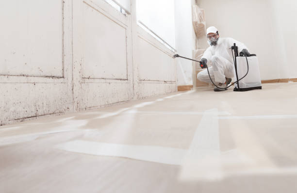24/7 Emergency Mold Remediation experts in North Bellport, NY