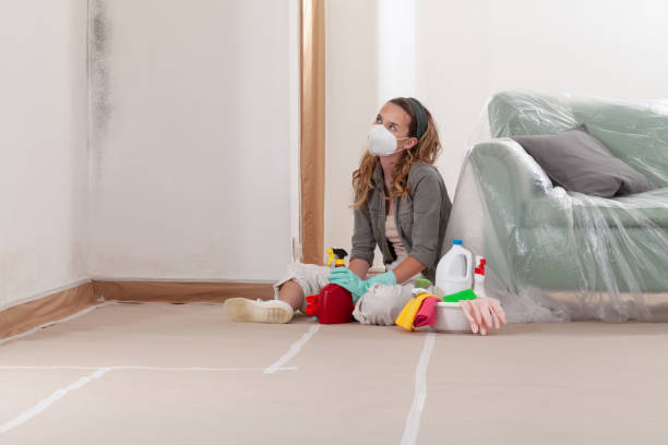 Reliable Mold Remediation contractor in North Bellport, NY by 24 Hour Mold Removal